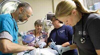 4 UNC Emergency staff members working on a patient